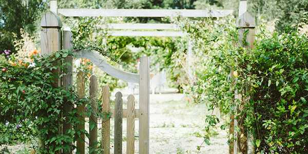 10 Easy Garden Projects You Can Do with Your Kids